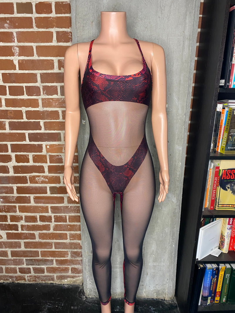 Mesh front jumpsuit with built in bra and panty