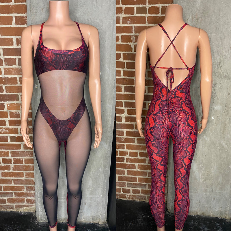 Mesh front jumpsuit with built in bra and panty