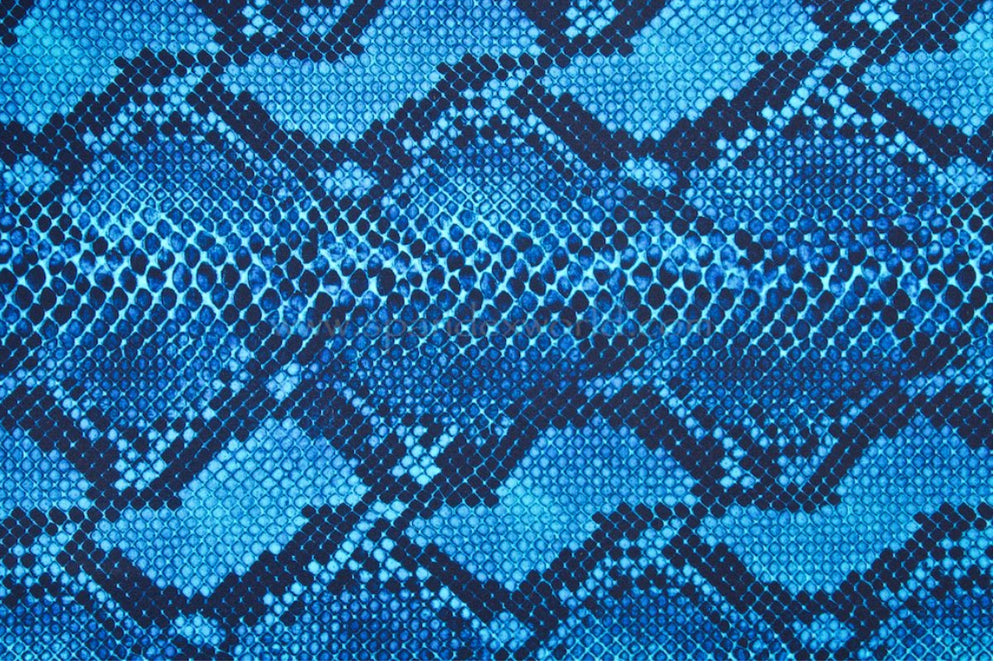Blue Snakeskin